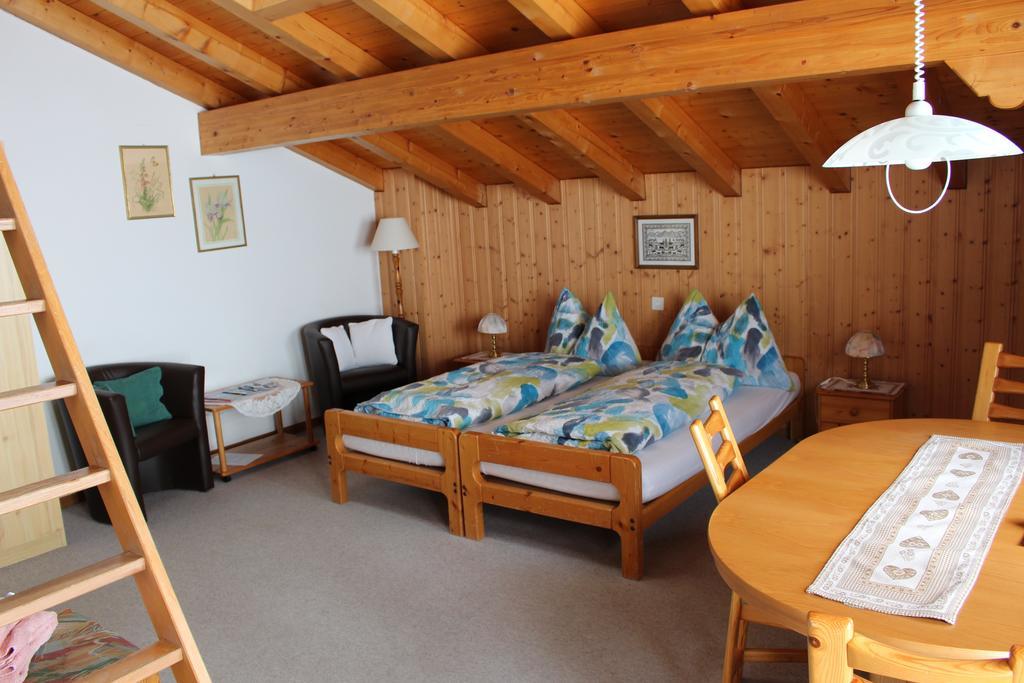 Chalet Spinne Grindelwald Pokoj fotografie