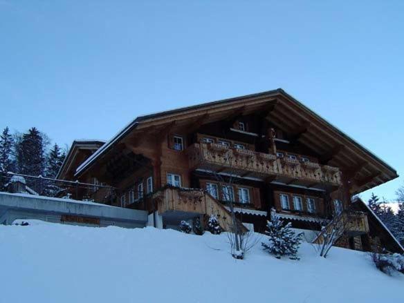 Chalet Spinne Grindelwald Exteriér fotografie